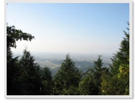 [Picture of an outdoor view with some short trees in the front and a city and body of water in the background]